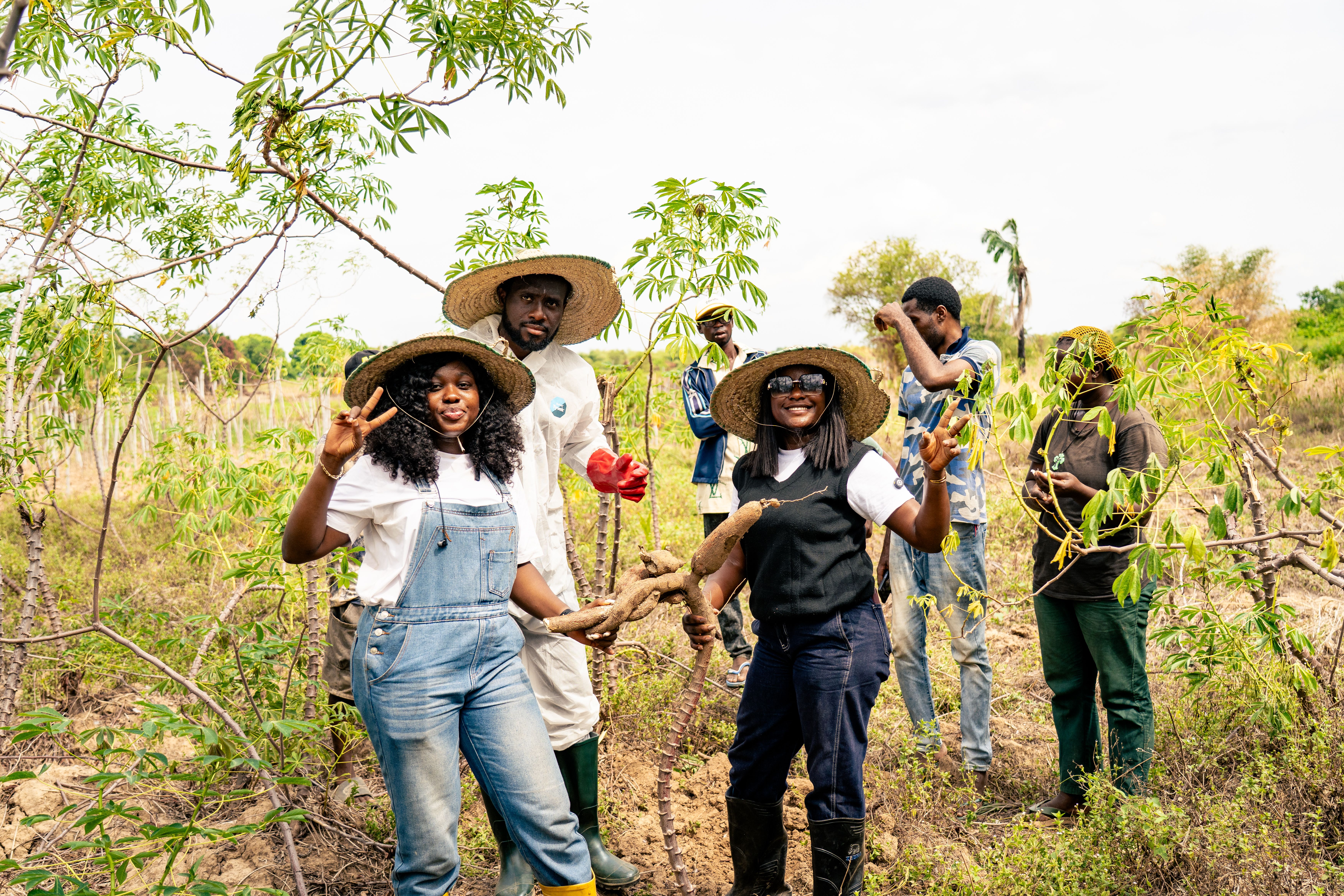 IBIMA partnerships and collaborators